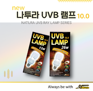 나투라 UVB 램프 26W 10.0