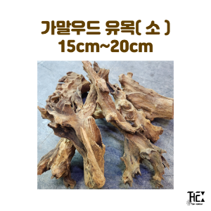 가말우드 유목 ( 소 ) 15cm~20cm