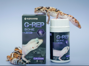 녹십자수의약품 G-REP BONE 칼슘제80g ( 야행성 파충류용 )